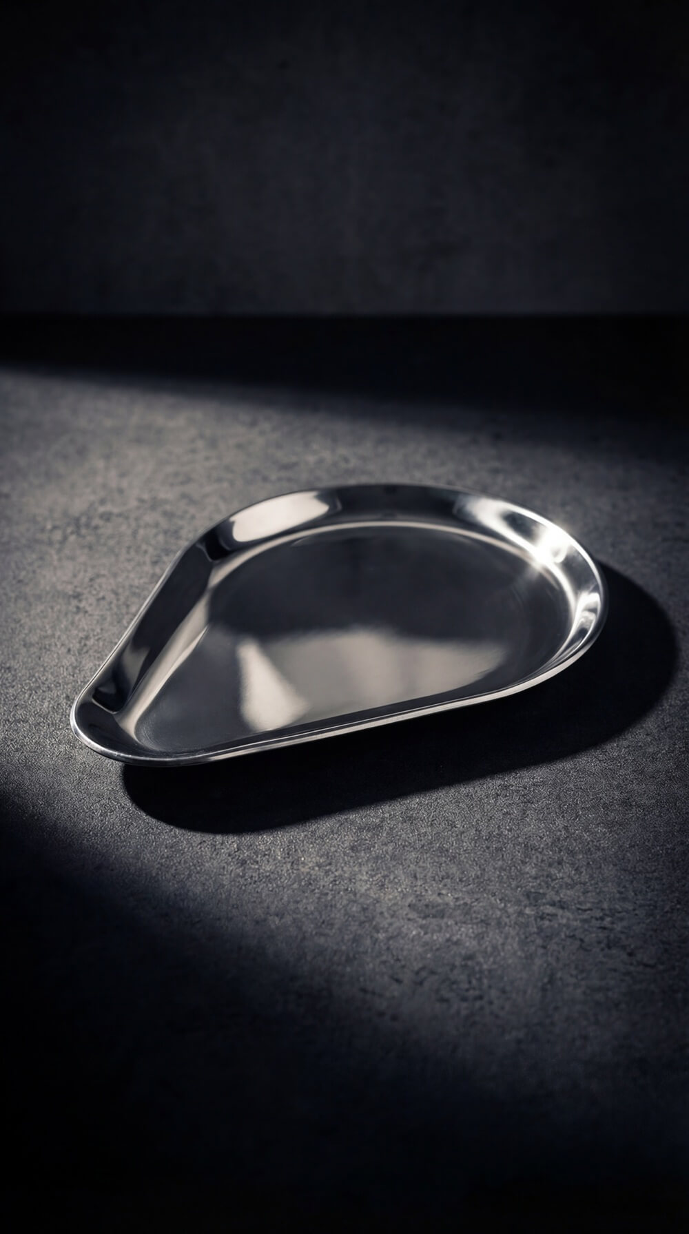 Stainless Steel Serving Plate