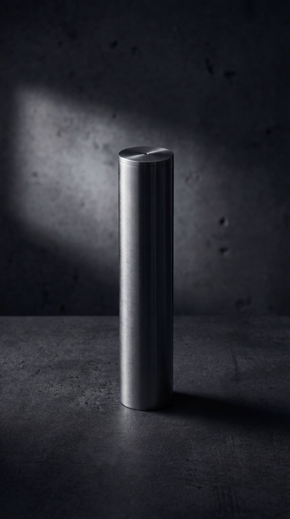 Stainless Steel Salt Shaker