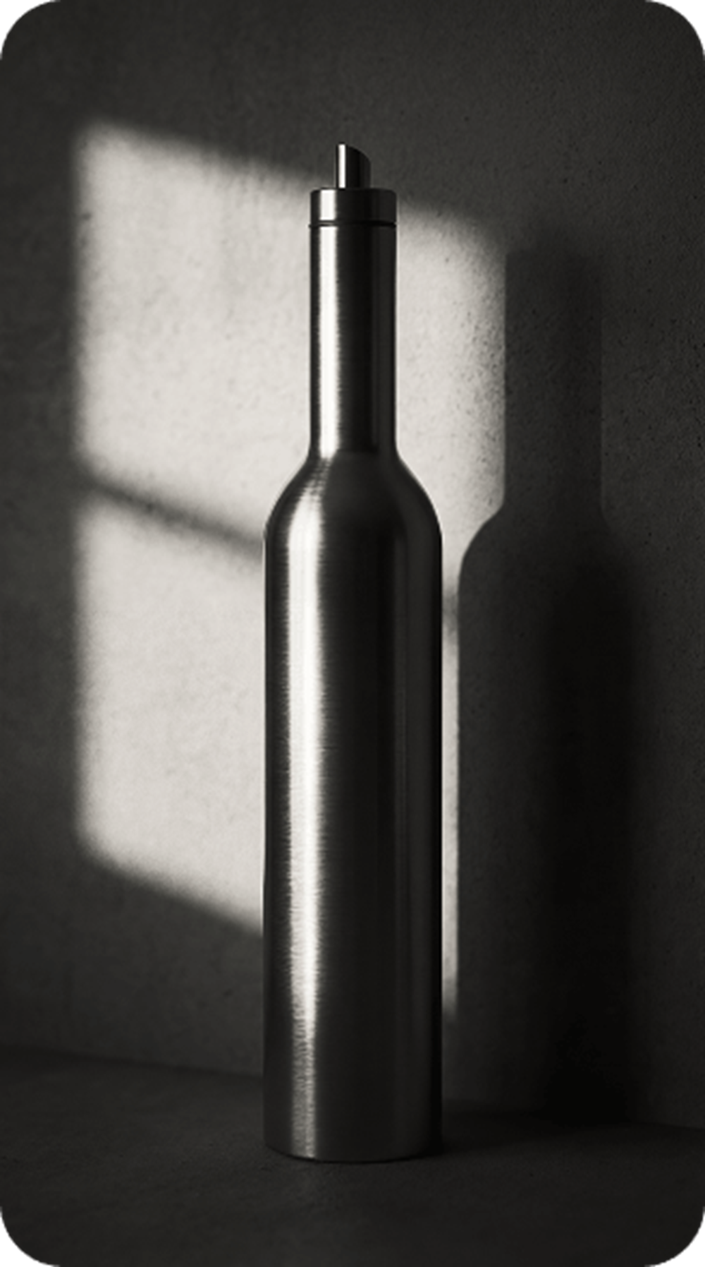 Stainless Steel Oil Dispenser